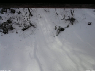 長野県菅平高原 ゆたか山荘 南側 2025/12/23 10:45