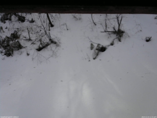 長野県菅平高原 ゆたか山荘 南側 2025/12/23 11:15