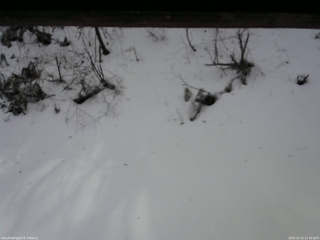 長野県菅平高原 ゆたか山荘 南側 2025/12/23 11:30