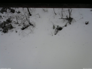 長野県菅平高原 ゆたか山荘 南側 2025/12/23 12:00