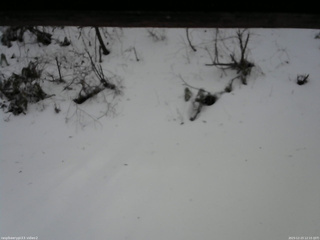 長野県菅平高原 ゆたか山荘 南側 2025/12/23 12:15