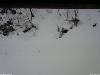 長野県菅平高原 ゆたか山荘 南側 2025/12/23 12:30