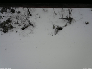 長野県菅平高原 ゆたか山荘 南側 2025/12/23 12:45