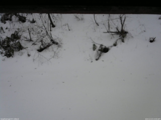 長野県菅平高原 ゆたか山荘 南側 2025/12/23 13:00