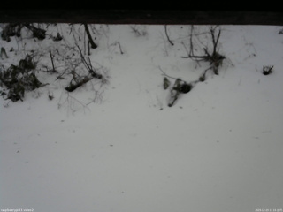 長野県菅平高原 ゆたか山荘 南側 2025/12/23 13:15