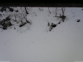 長野県菅平高原 ゆたか山荘 南側 2025/12/23 13:30