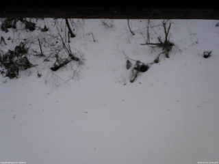 長野県菅平高原 ゆたか山荘 南側 2025/12/23 13:45