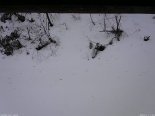 長野県菅平高原 ゆたか山荘 南側 2025/12/23 14:15