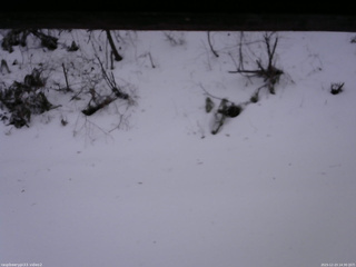 長野県菅平高原 ゆたか山荘 南側 2025/12/23 14:30