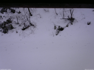 長野県菅平高原 ゆたか山荘 南側 2025/12/23 14:45