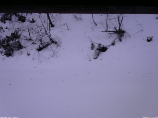 長野県菅平高原 ゆたか山荘 南側 2025/12/23 15:00