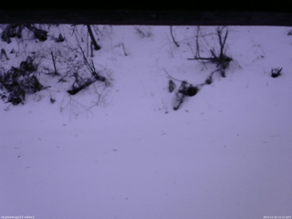 長野県菅平高原 ゆたか山荘 南側 2025/12/23 15:15