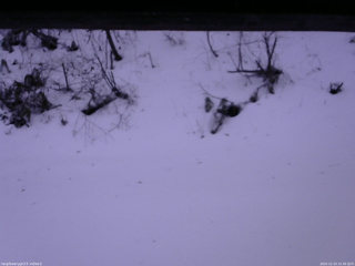 長野県菅平高原 ゆたか山荘 南側 2025/12/23 15:30