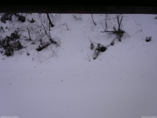 長野県菅平高原 ゆたか山荘 南側 2025/12/23 16:00