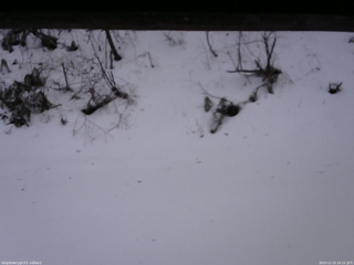 長野県菅平高原 ゆたか山荘 南側 2025/12/23 16:15