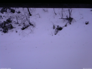 長野県菅平高原 ゆたか山荘 南側 2025/12/23 16:30