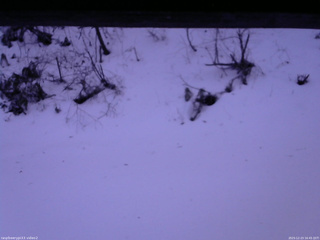 長野県菅平高原 ゆたか山荘 南側 2025/12/23 16:45