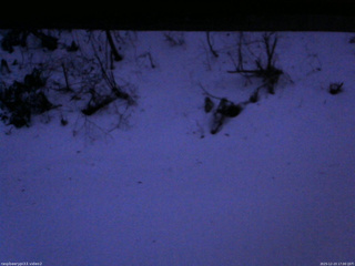 長野県菅平高原 ゆたか山荘 南側 2025/12/23 17:00