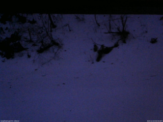 長野県菅平高原 ゆたか山荘 南側 2025/12/24 06:30