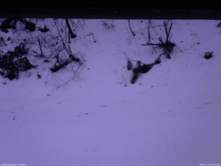 長野県菅平高原 ゆたか山荘 南側 2025/12/24 06:45