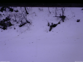 長野県菅平高原 ゆたか山荘 南側 2025/12/24 07:00