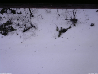 長野県菅平高原 ゆたか山荘 南側 2025/12/24 07:15