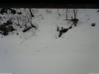 長野県菅平高原 ゆたか山荘 南側 2025/12/24 07:30