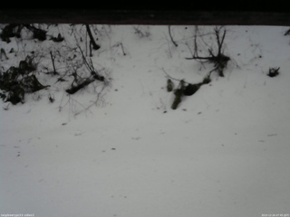 長野県菅平高原 ゆたか山荘 南側 2025/12/24 07:45