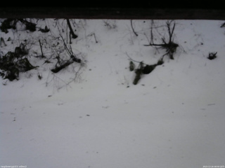 長野県菅平高原 ゆたか山荘 南側 2025/12/24 08:00