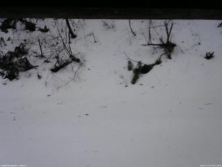 長野県菅平高原 ゆたか山荘 南側 2025/12/24 08:15