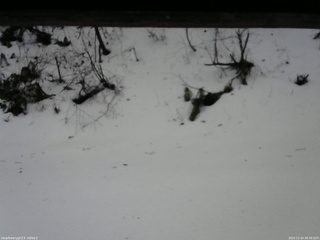 長野県菅平高原 ゆたか山荘 南側 2025/12/24 08:30