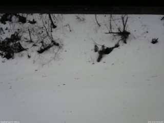 長野県菅平高原 ゆたか山荘 南側 2025/12/24 08:45