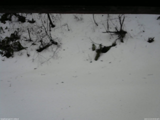 長野県菅平高原 ゆたか山荘 南側 2025/12/24 09:00