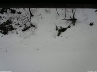 長野県菅平高原 ゆたか山荘 南側 2025/12/24 09:15