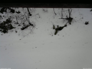 長野県菅平高原 ゆたか山荘 南側 2025/12/24 10:00