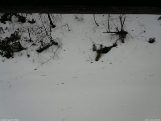 長野県菅平高原 ゆたか山荘 南側 2025/12/24 11:00