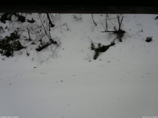 長野県菅平高原 ゆたか山荘 南側 2025/12/24 11:15