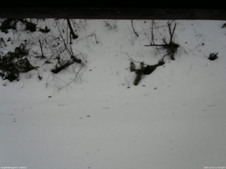 長野県菅平高原 ゆたか山荘 南側 2025/12/24 11:30