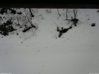 長野県菅平高原 ゆたか山荘 南側 2025/12/24 12:00