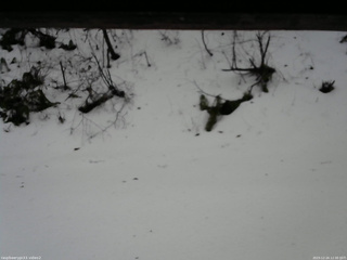 長野県菅平高原 ゆたか山荘 南側 2025/12/24 12:30