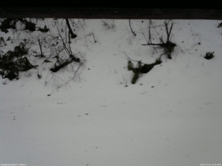 長野県菅平高原 ゆたか山荘 南側 2025/12/24 12:45