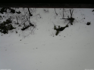 長野県菅平高原 ゆたか山荘 南側 2025/12/24 13:30