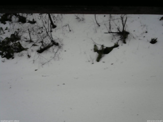 長野県菅平高原 ゆたか山荘 南側 2025/12/24 15:15