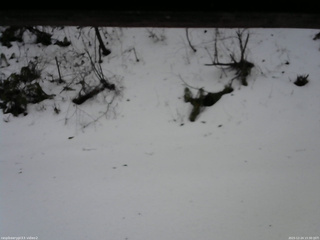 長野県菅平高原 ゆたか山荘 南側 2025/12/24 15:30