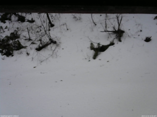 長野県菅平高原 ゆたか山荘 南側 2025/12/24 15:45