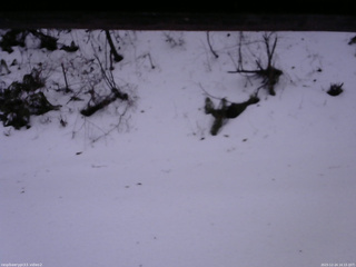 長野県菅平高原 ゆたか山荘 南側 2025/12/24 16:15