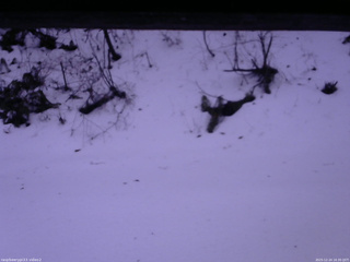 長野県菅平高原 ゆたか山荘 南側 2025/12/24 16:30