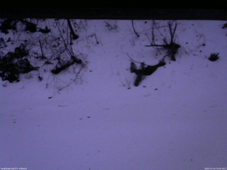 長野県菅平高原 ゆたか山荘 南側 2025/12/24 16:45