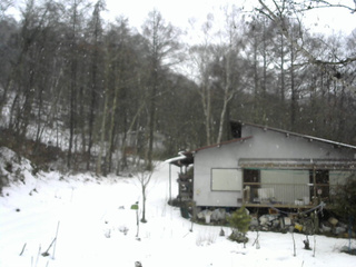 長野県菅平高原 ゆたか山荘 西側(坂上) 2025/12/25 13:15
