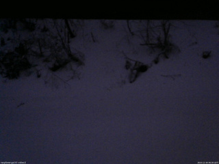 長野県菅平高原 ゆたか山荘 南側 2025/12/26 06:30